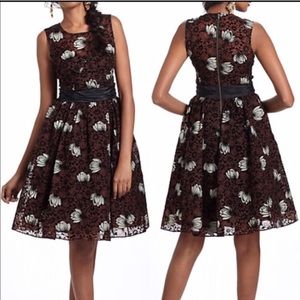 Anthropologie Chrysanthemum Tea Dress, 8